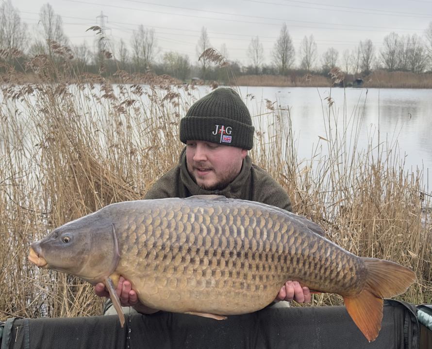 36lbs Common Carp From Bayeswater Day Ticket Lake | Total Carp